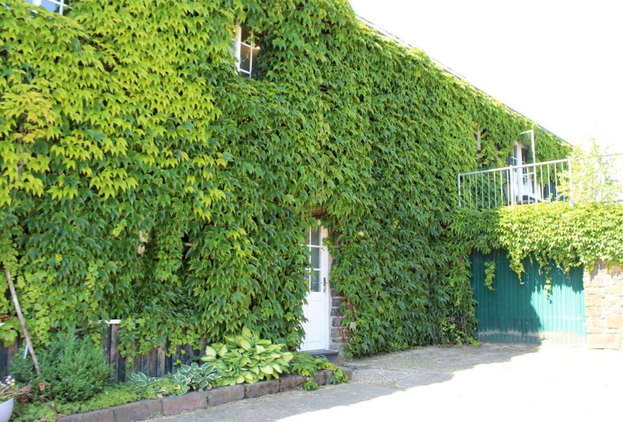 Victorhof Landurlaub Deine Auszeit Im Gruenen, Umgeben Von Wald & Wiesen มอนเชา ภายนอก รูปภาพ