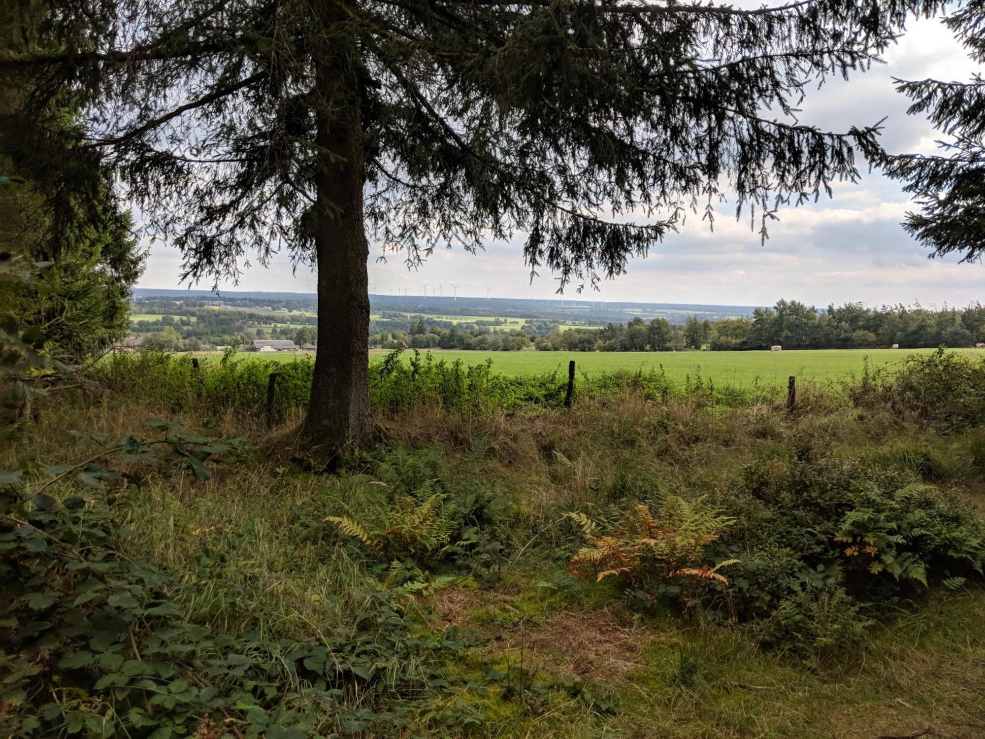 Victorhof Landurlaub Deine Auszeit Im Gruenen, Umgeben Von Wald & Wiesen มอนเชา ภายนอก รูปภาพ